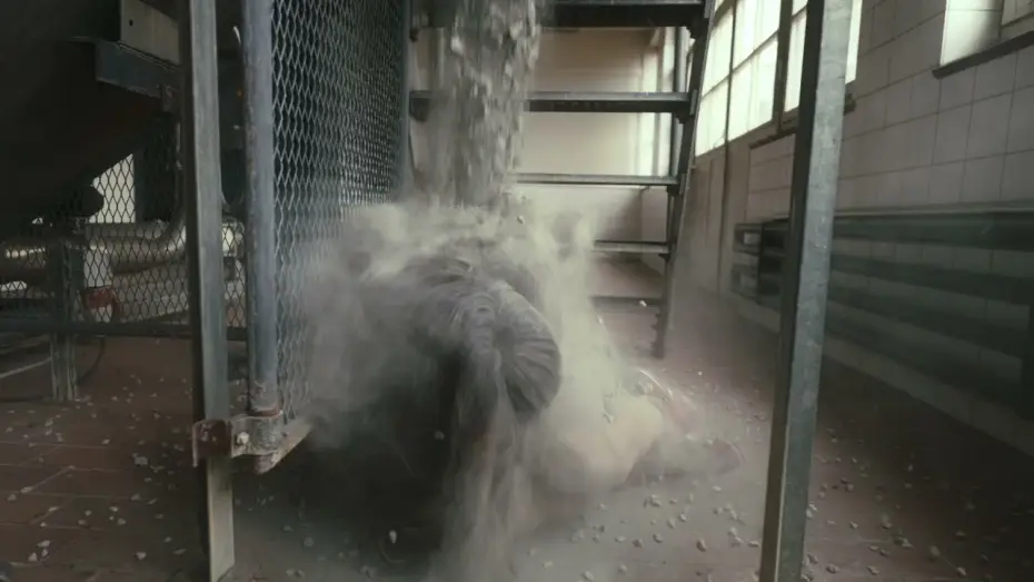 Wideo do filmu THE DUST OF MY CONCRETE CHILD - PORTRAIT 2: Viciousness & Vulnerability — THE DUST OF MY CONCRETE CHILD - PORTRAIT 2: VICIOUSNESS & VULNERABILITY (TRAILER)