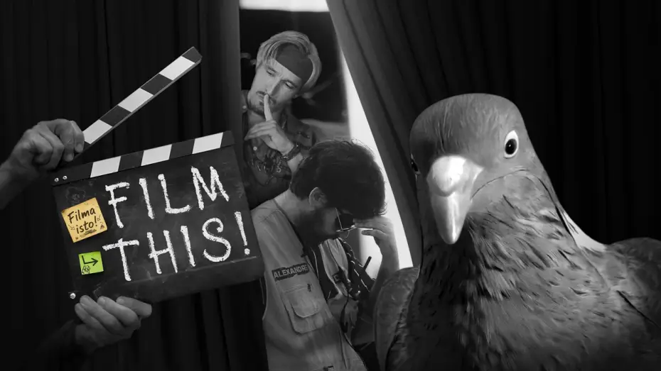 Wideo do filmu Filma isto! — Film This! | 4K Full Movie | Original Title: "Filma isto!"