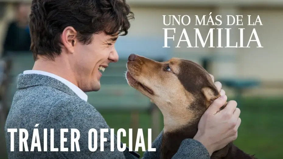 Wideo do filmu O psie, który wrócił do domu — UNO MÁS DE LA FAMILIA. Tráiler Oficial HD en español. Ya en cines.