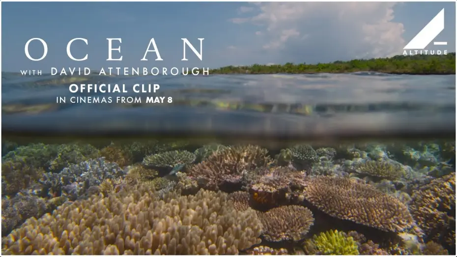 Wideo do filmu David Attenborough Świat oceanów — 'Scuba Diving' Clip