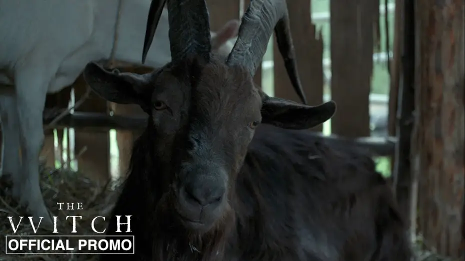 Wideo do filmu Czarownica: Bajka ludowa z Nowej Anglii — Black Phillip - Official Promo