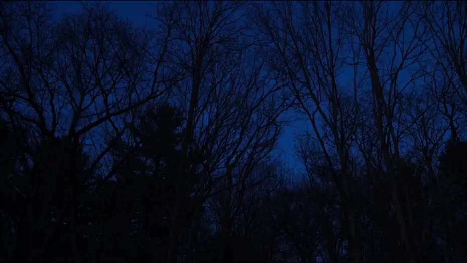 Wideo do filmu Hollow Walker of the Lake — Hollow Walker of the Lake