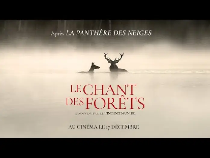 Wideo do filmu Le chant des forêts — LE CHANT DES FORÊTS - Bande-annonce