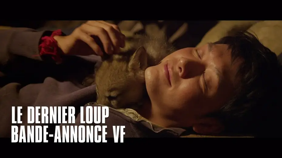 Wideo do filmu Wilczy Totem — Le dernier loup - bande-annonce VF