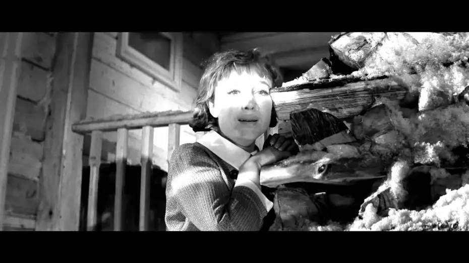 Wideo do filmu Dziewczęta — Девчата - Trailer