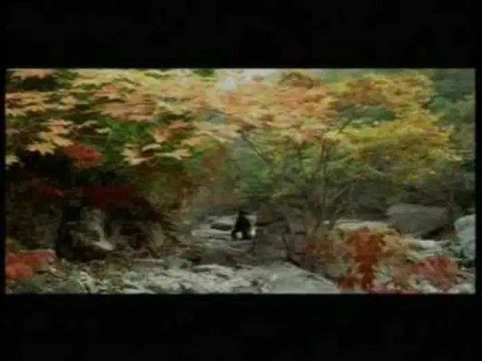 Wideo do filmu Wiosna, lato, jesień, zima... i wiosna — Printemps, été, automne, hiver... et printemps - 봄, 여름, 가을, 겨울 그리고 봄