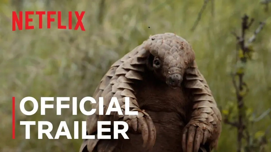 Wideo do filmu Mój przyjaciel łuskowiec — Official Trailer