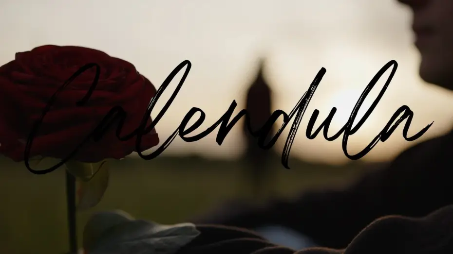 Wideo do filmu Calendula — Calendula
