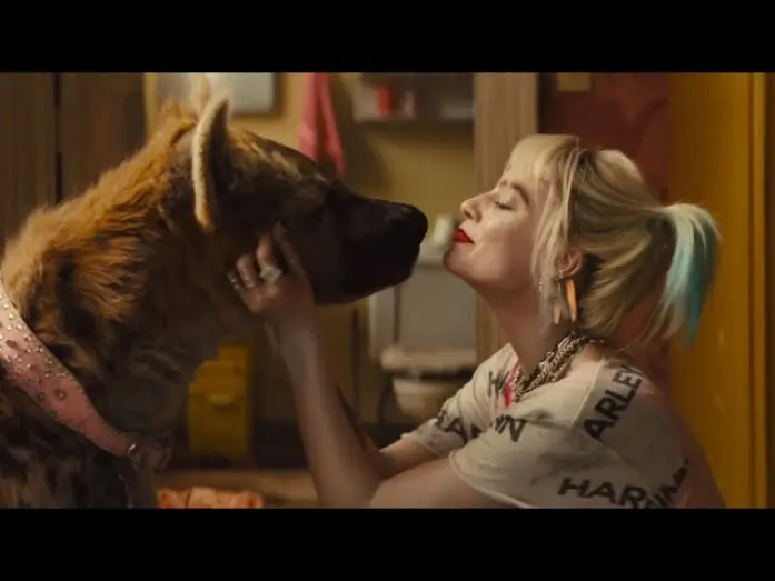 Wideo do filmu Ptaki Nocy (i fantastyczna emancypacja pewnej Harley Quinn) — Birds of Prey - Nuovo Trailer Ufficiale Italiano