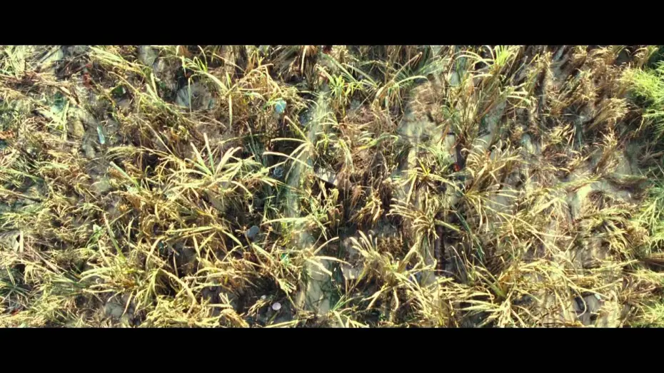 Wideo do filmu Niemożliwe — Bande-annonce VOSTF HD: The Impossible