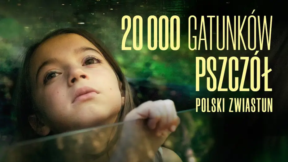 Wideo do filmu 20 000 gatunków pszczół — Zwiastun PL
