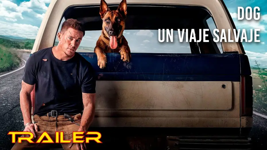 Wideo do filmu Pies — Dog.  Un viaje salvaje - Tráiler español