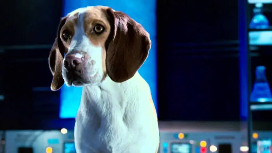 Wideo do filmu Ultrapies — Underdog - Unbesiegt weil er fliegt - Trailer