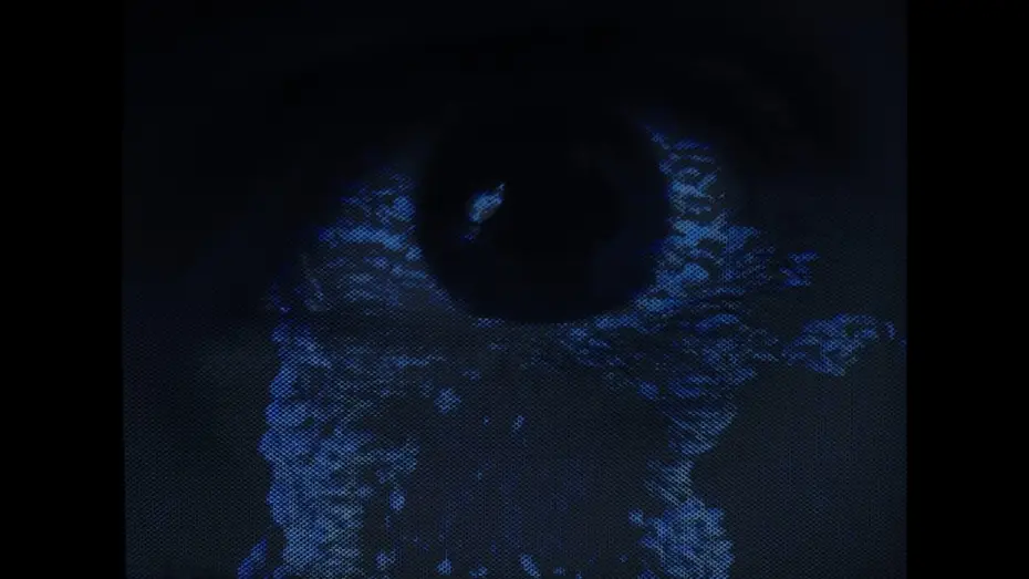 Wideo do filmu Traces of Tracking — Traces of Tracking – A Short Film