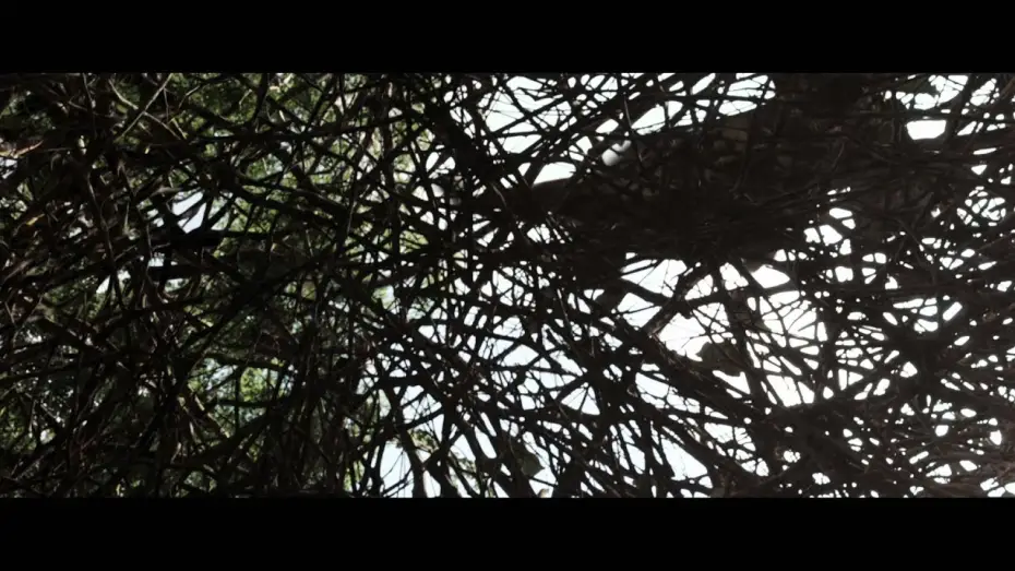 Wideo do filmu 1000 Lat po Ziemi — Bird Fight VOST