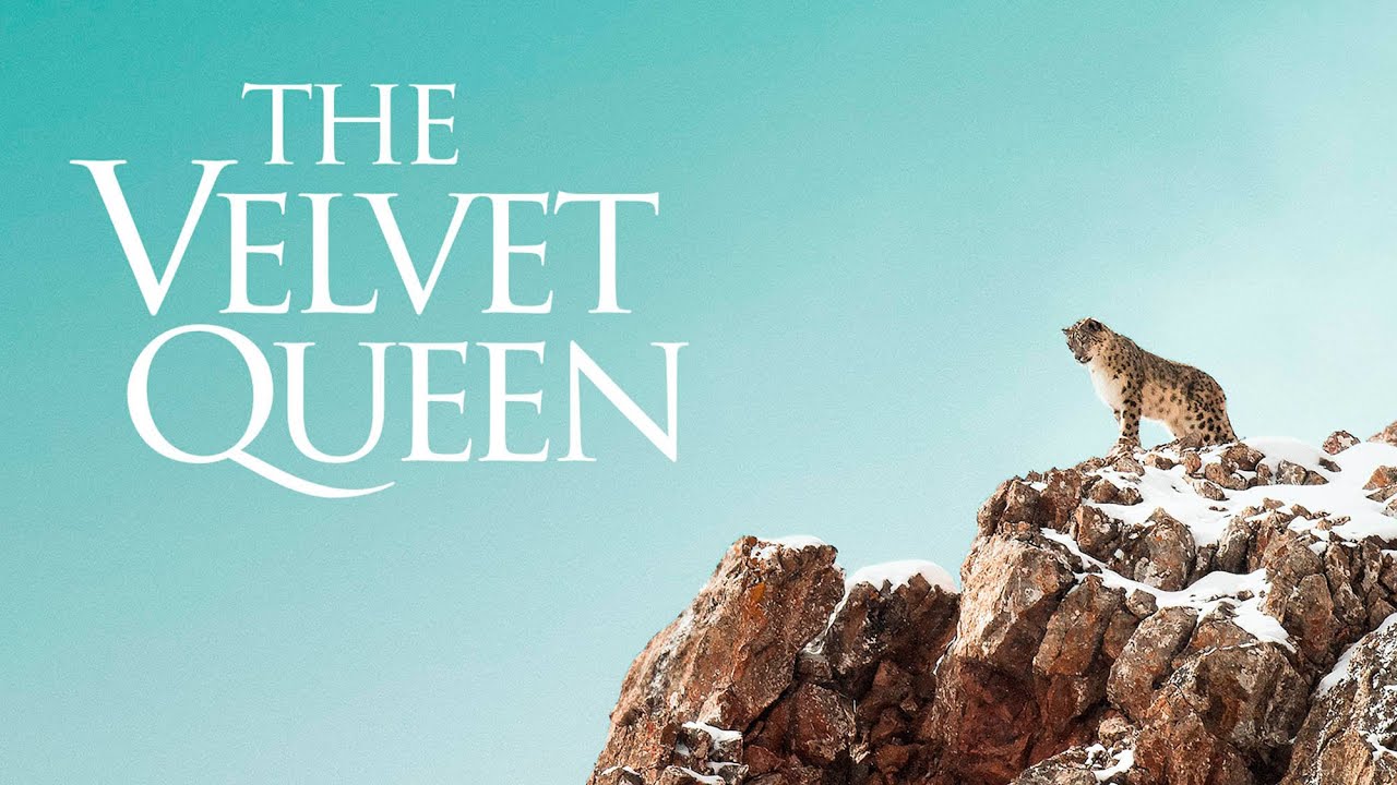 Wideo do filmu Duch śniegów — The Velvet Queen - Official Trailer - English Sub Title
