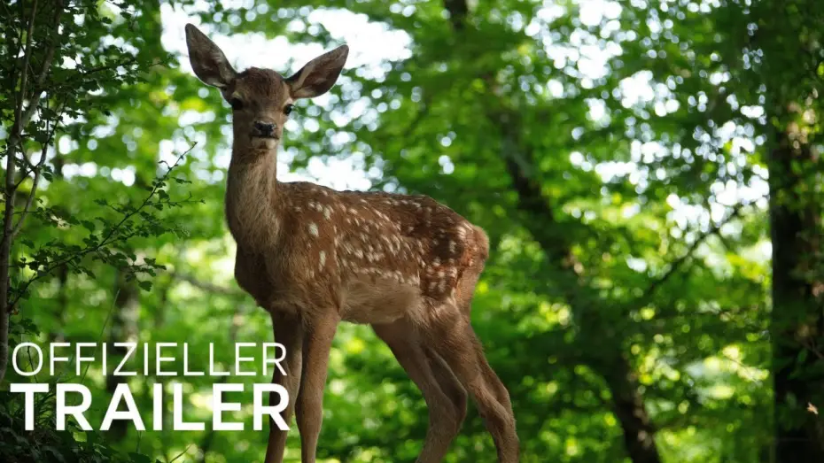 Wideo do filmu Bambi. Opowieść leśna — Bambi - Eine Lebensgeschichte aus dem Walde  | Trailer (Deutsch / German) | 2025