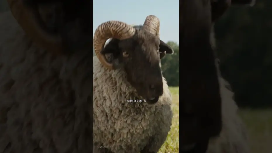 Wideo do filmu Sprawiedliwość owiec — One Month Countdown