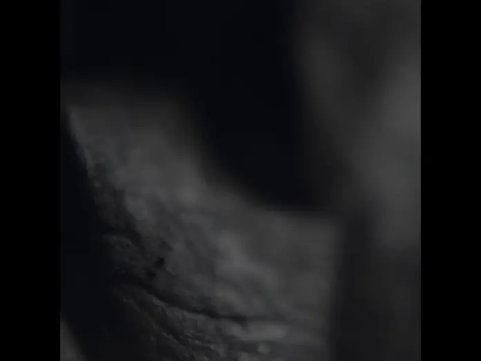 Wideo do filmu Halloween — Teaser for HALLOWEEN... Full trailer coming soon... STAY TUNED