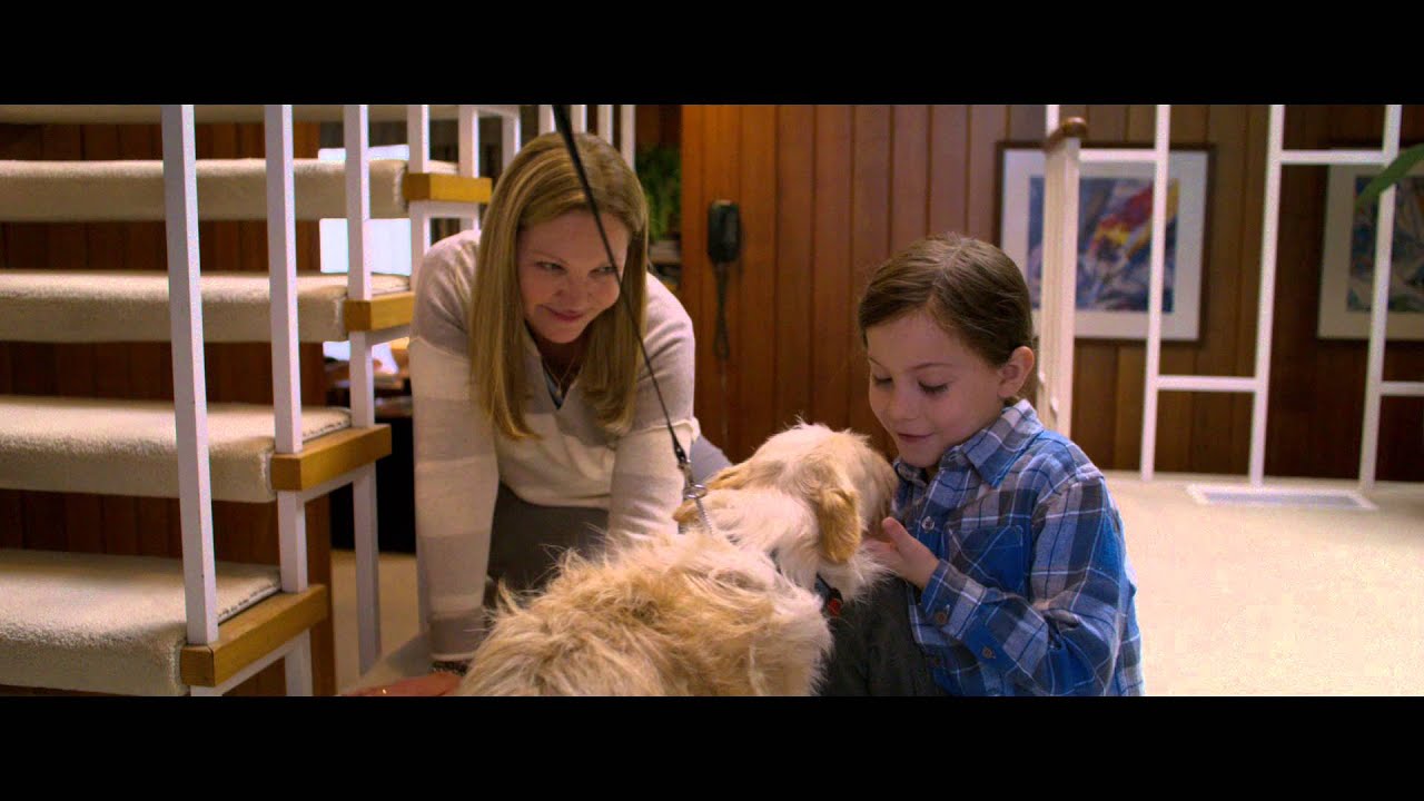 Wideo do filmu Pokój — Official UK 20" Trailer