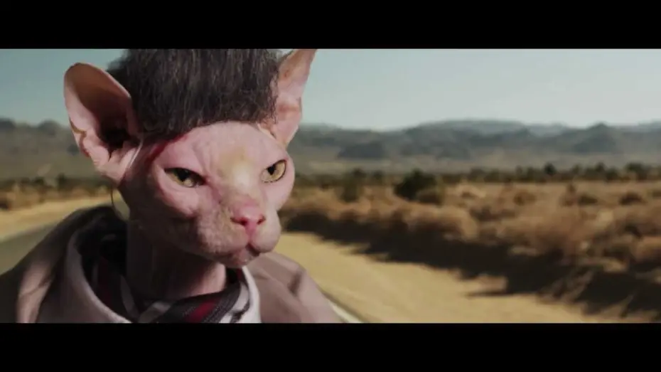 Wideo do filmu 7 psychopatów — Seven PsychoCATS Trailer HD [Uncensored / NSFW]