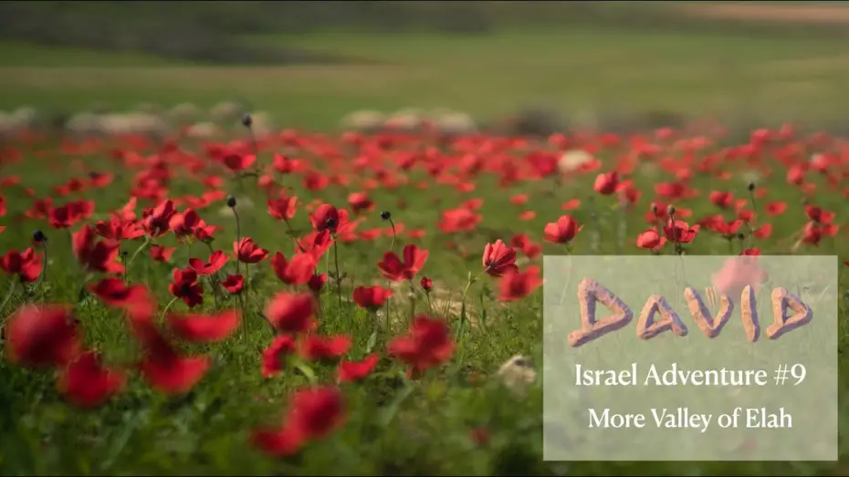 Wideo do filmu David — David | Israel Adventure | Back to The Valley of Elah