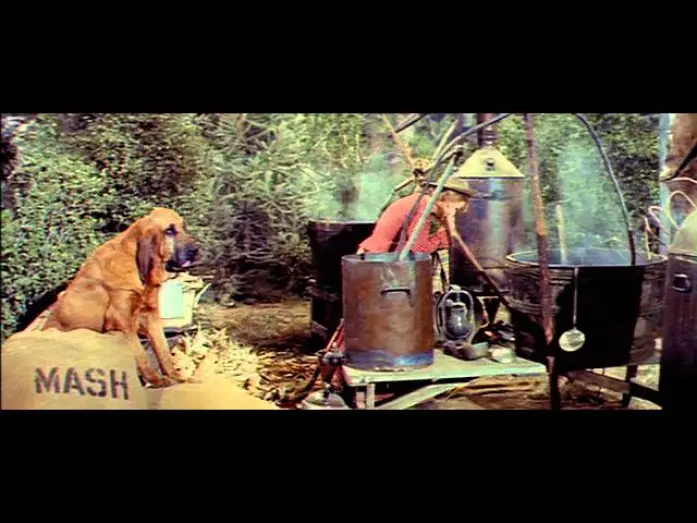 Wideo do filmu Kissin' Cousins — Kissin' Cousins (1964)