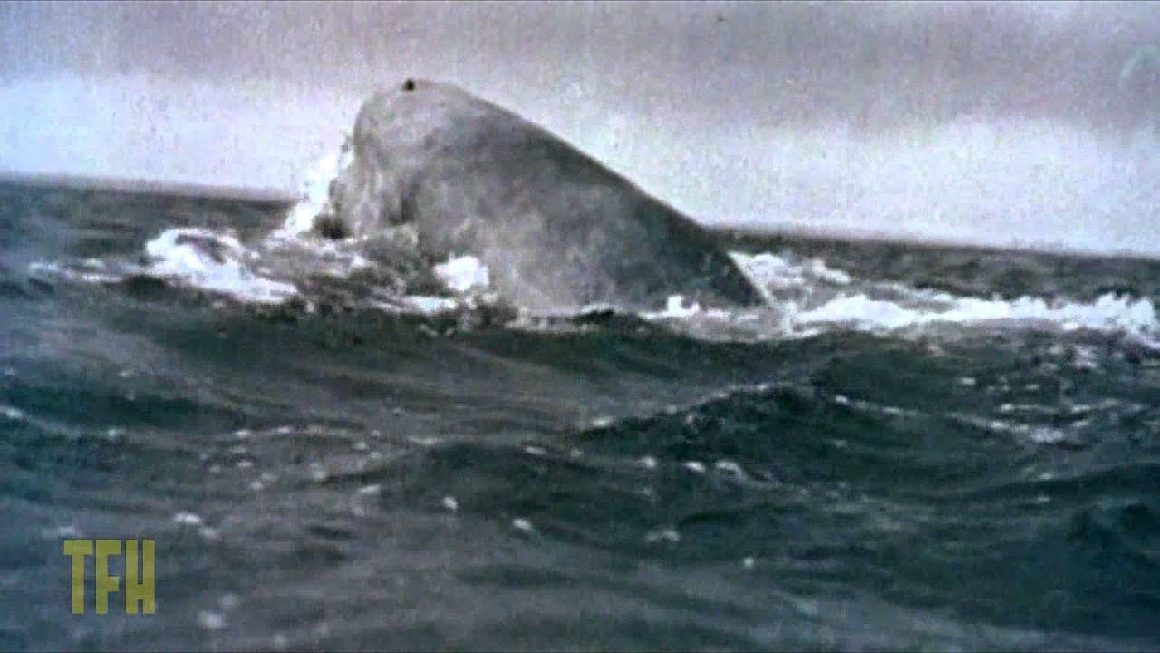 Wideo do filmu Moby Dick — Ernest Dickerson on MOBY DICK