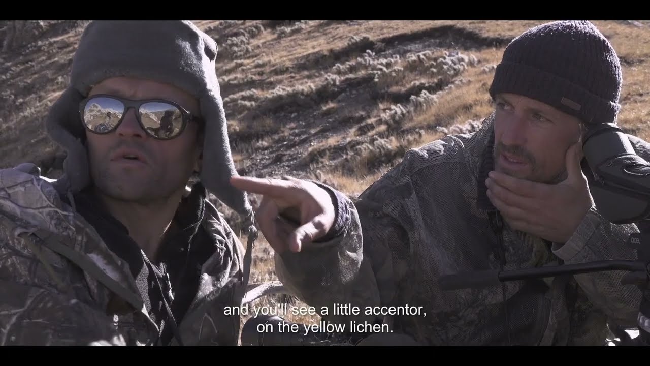 Wideo do filmu Duch śniegów — 'The Velvet Queen' (2021) - Camoflauge - English Sub Title