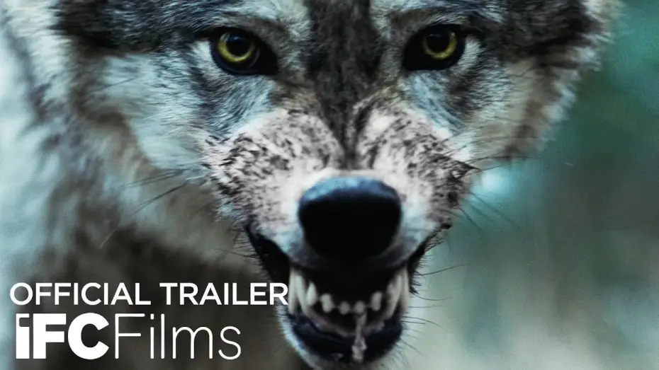 Wideo do filmu Mordercza wataha — Official Trailer