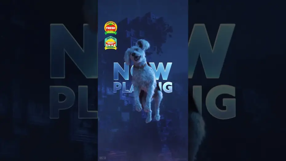 Wideo do filmu Superman — This super pup was meant for the big screen.