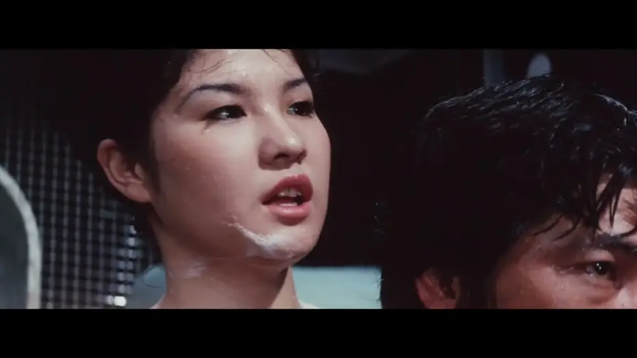 Wideo do filmu 牝猫たちの夜 — Night of the Felines (1972) | Trailer | Noboru Tanaka