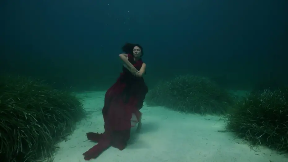 Wideo do filmu The Swimming Diaries — The Swimming Diaries Trailer (2024)