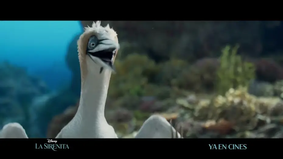 Wideo do filmu Mała syrenka — Anuncio: '¿Tienes idea de lo que es?'