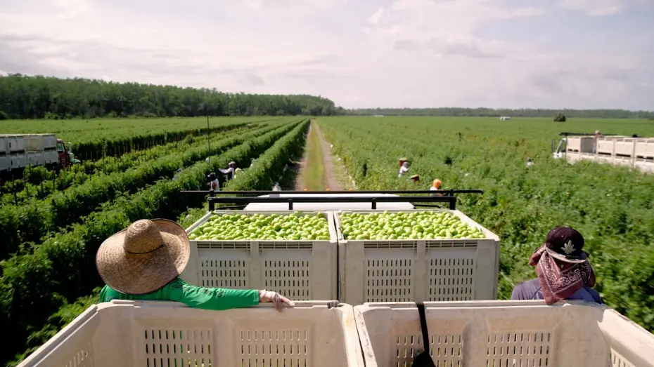 Wideo do filmu Food, Inc. 2 — Sneak Peek