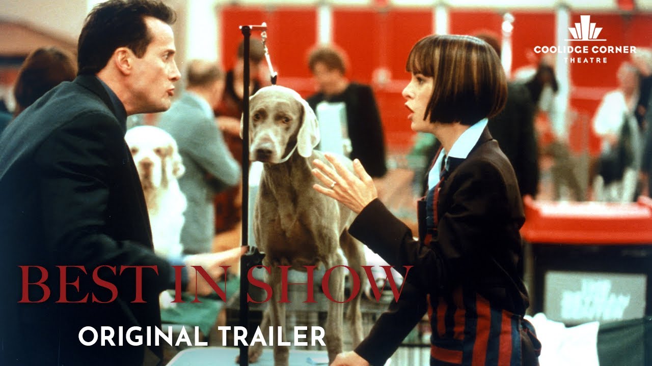 Wideo do filmu Medal dla miss — Original Trailer