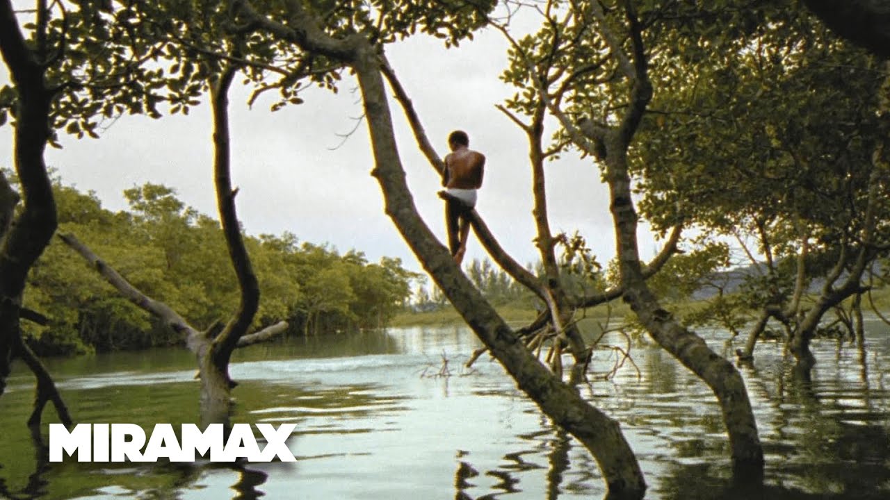Wideo do filmu Miasto Boga — Looking for Paradise