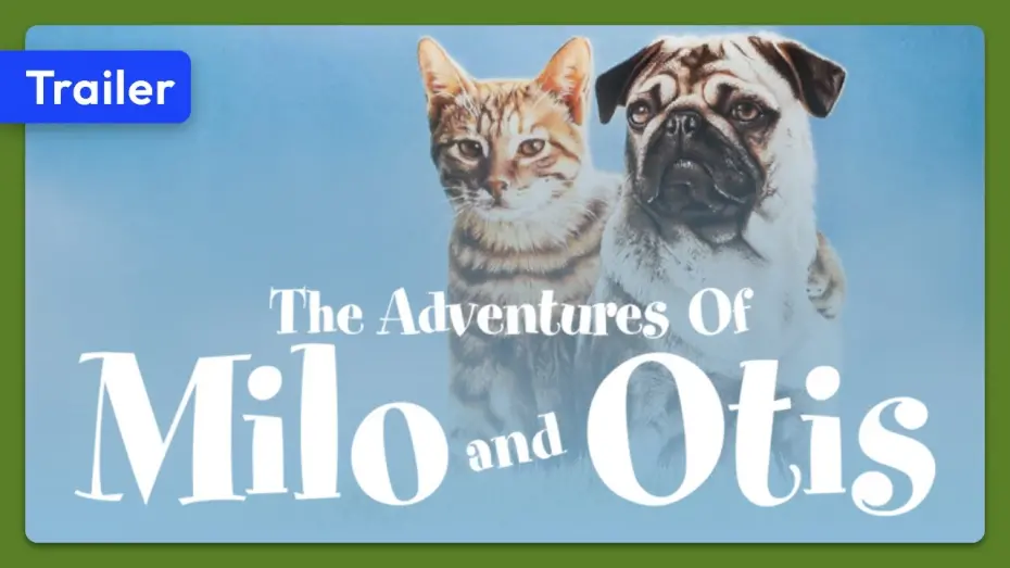 Wideo do filmu 子猫物語 — The Adventures of Milo and Otis (1986) Trailer