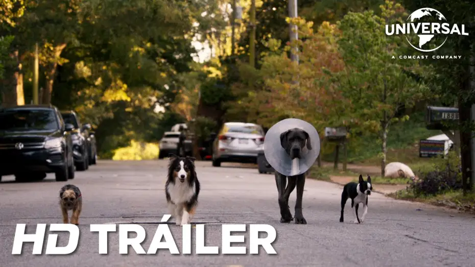 Wideo do filmu Spuszczone ze smyczy — Tráiler Oficial en español