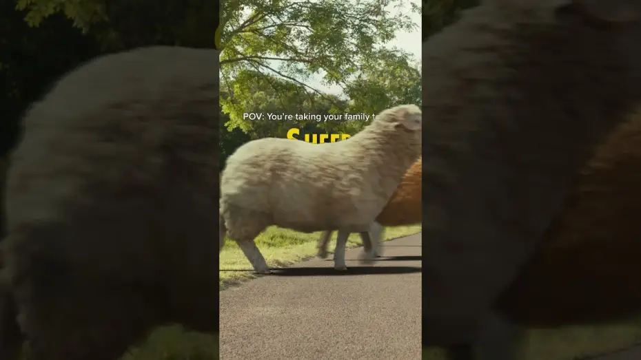 Wideo do filmu Sprawiedliwość owiec — See if you can crack the case this weekend