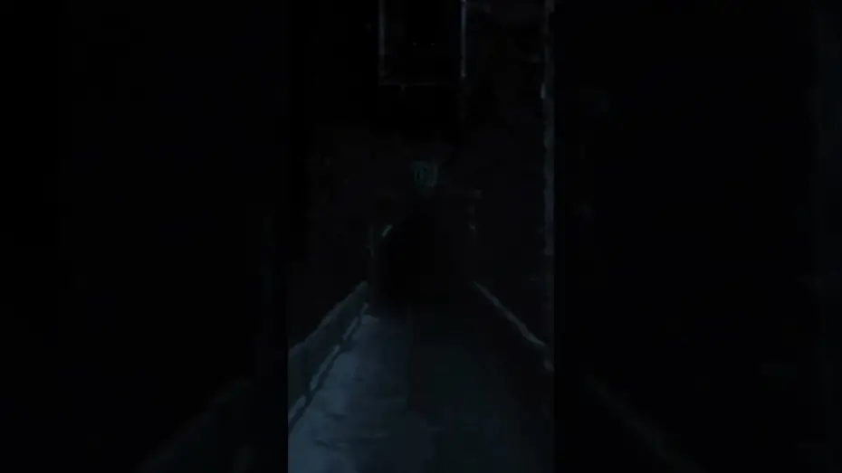 Wideo do filmu Nosferatu — There is a dread storm rising.
