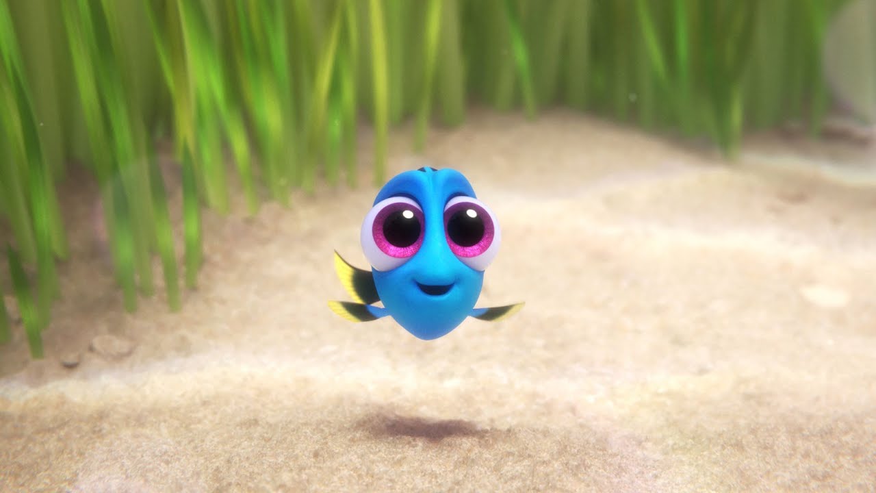 Wideo do filmu Gdzie jest Dory — Baby Dory