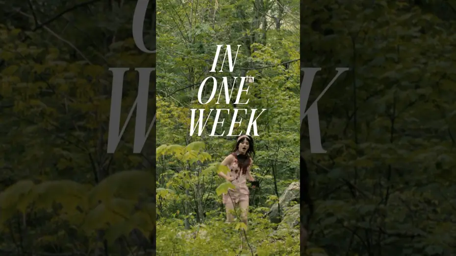Wideo do filmu Towarzysz — Celebrating one week is only a little obsessive.
