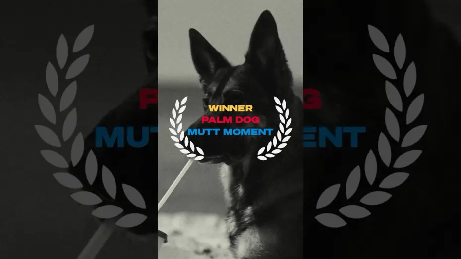 Wideo do filmu Rodzaje życzliwości — Mutt Moment