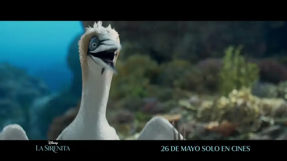 Wideo do filmu Mała syrenka — Anuncio: '¿Tienes idea de lo que es?'