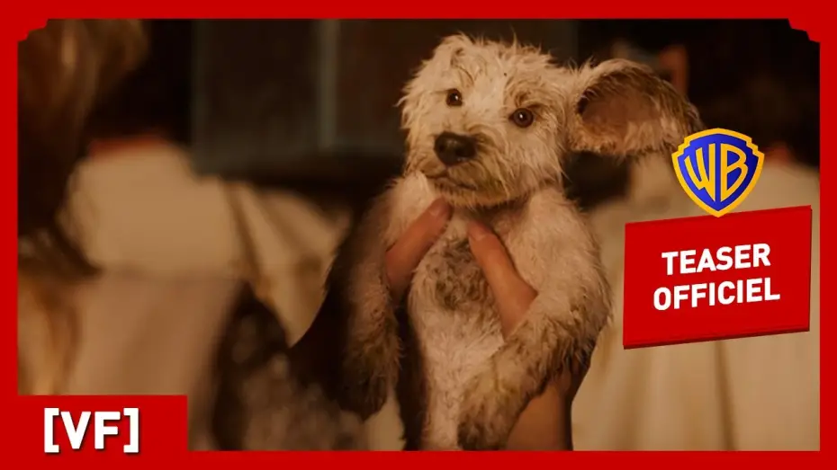 Wideo do filmu Supergirl — Supergirl | Teaser Krypto (VF) | Milly Alcock, Jason Momoa