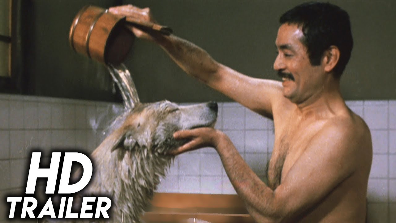 Wideo do filmu ハチ公物語 — Hachiko (1987) ORIGINAL TRAILER [HD 1080p]