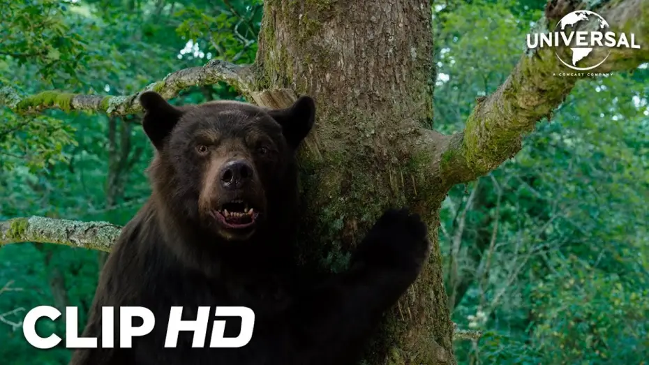 Wideo do filmu Kokainowy miś — Clip - Peter se olvida de que los osos saben trepar árboles