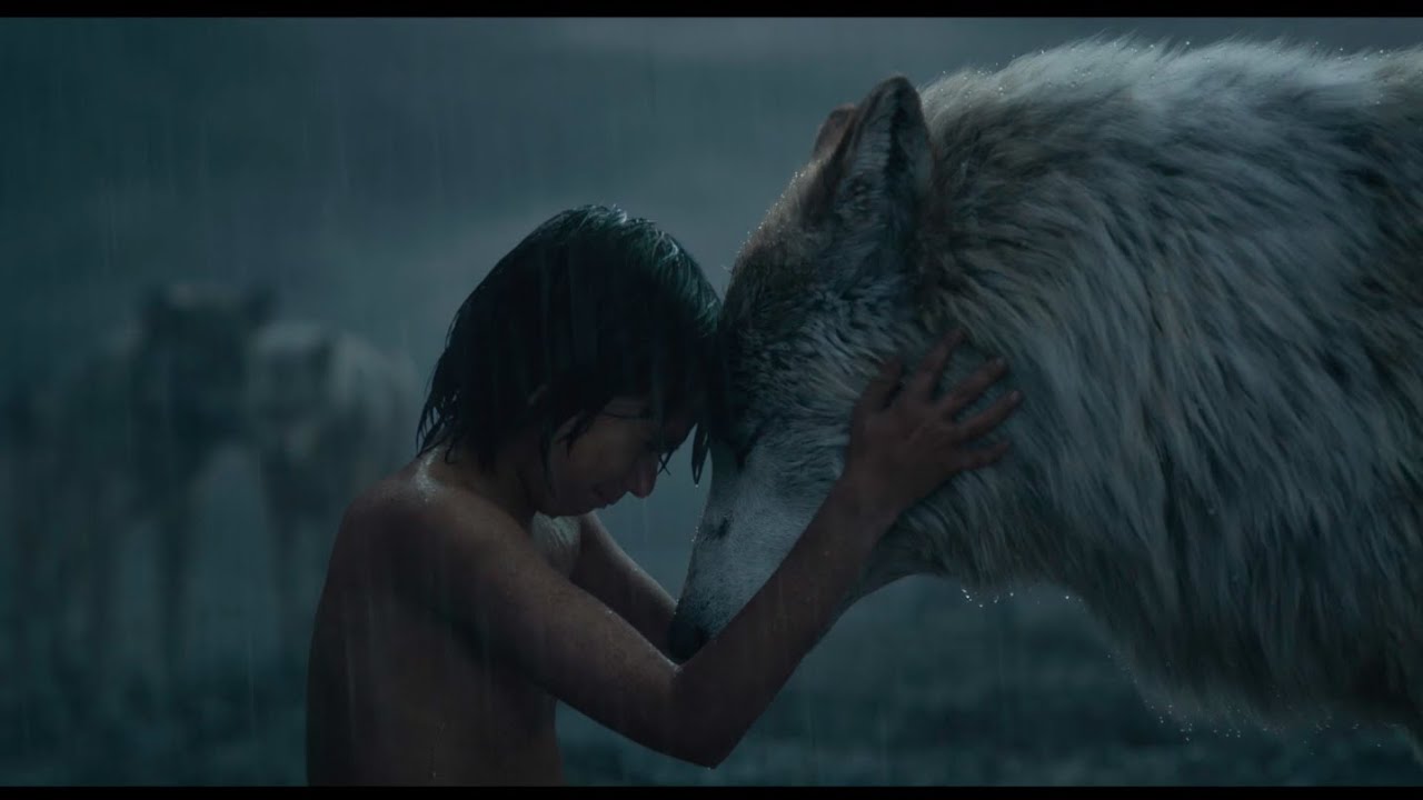 Wideo do filmu Księga dżungli — Mowgli Leaves the Pack