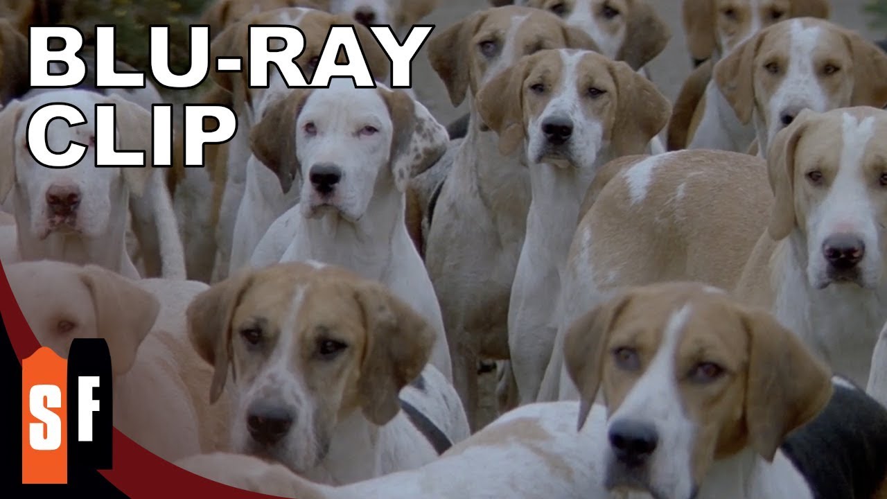 Wideo do filmu Omen III: Ostatnie starcie — Puppy Overload
